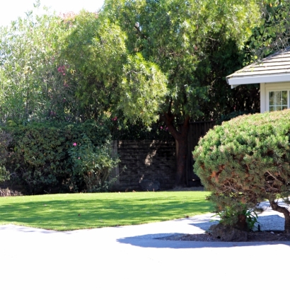 Fake Grass Grey Forest Texas Landscape Front Yard