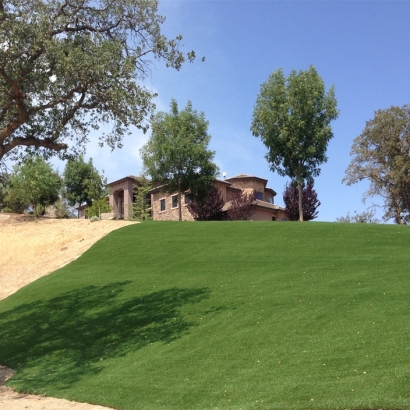 Fake Grass Kyle Texas Landscape Front Yard