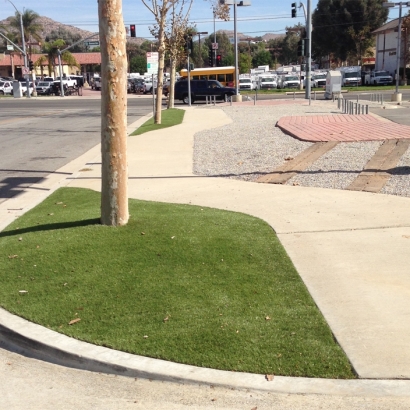 Fake Grass La Vernia Texas Lawn Commercial Landscape