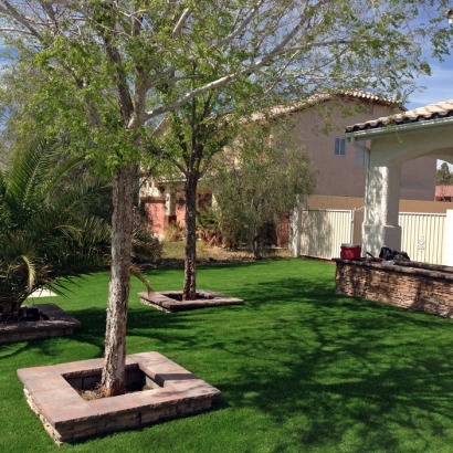 Fake Grass Meadowlakes Texas Landscape Front Yard