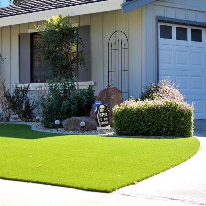 Fake Grass Selma Texas Lawn Front Yard