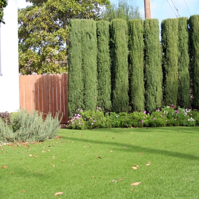 Fake Grass South Mountain Texas Landscape Front Yard