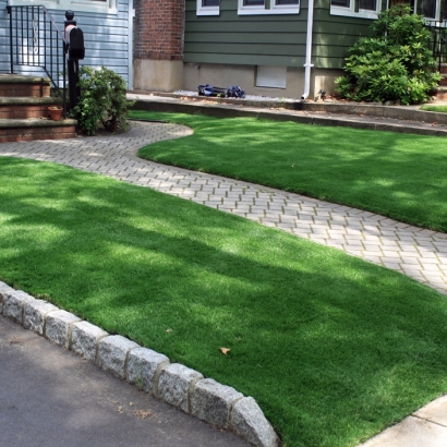 Fake Grass Thrall Texas Landscape Front Yard