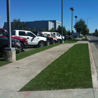 Fake Grass Wells Branch Texas Landscape Commercial Landscape