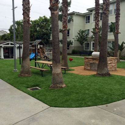 Fake Grass Windemere Texas Lawn Commercial Landscape