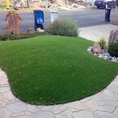 Fake Turf China Grove Texas Landscape