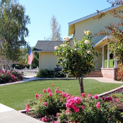 Fake Turf Kempner Texas Lawn Front Yard