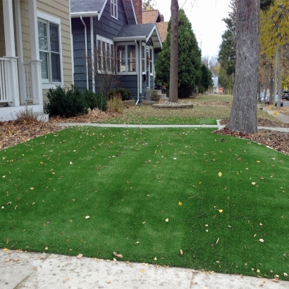 Fake Turf Liberty Hill Texas Lawn Front Yard