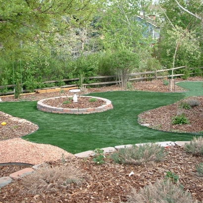 Fake Turf Macdona Texas Lawn Back Yard