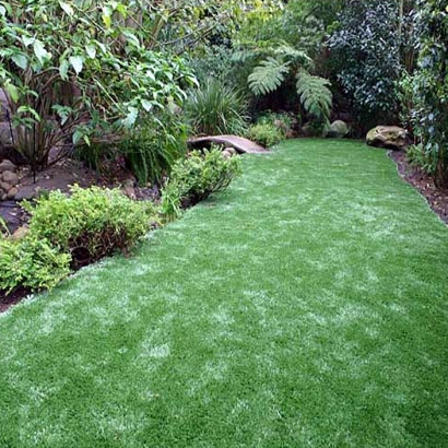 Fake Turf Northcliff Texas Landscape Back Yard