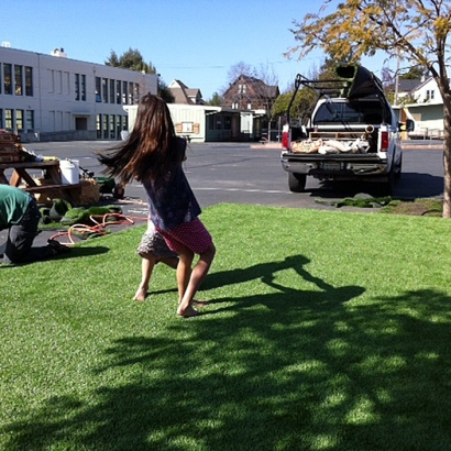 Fake Turf Thrall Texas Lawn Commercial Landscape