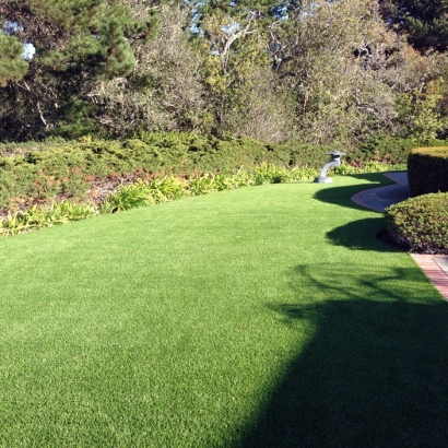 Fake Turf Weir Texas Lawn Front Yard