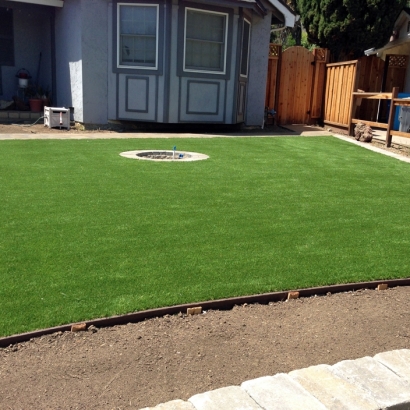 Fake Turf Wimberley Texas Lawn Front Yard