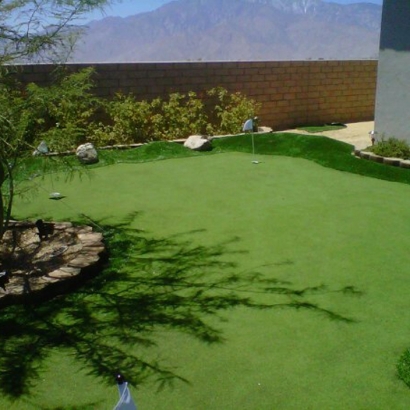 Golf Putting Greens Geronimo Texas Artificial Turf Back