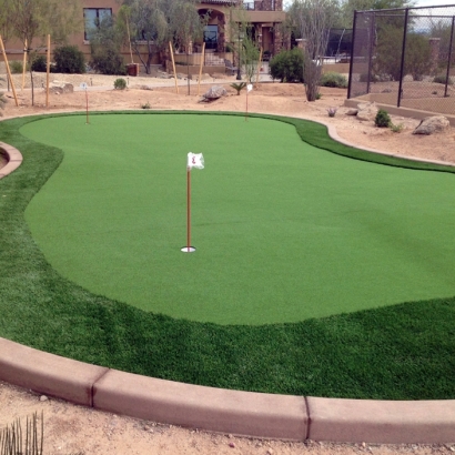 Golf Putting Greens Holland Texas Synthetic Turf Back Yard