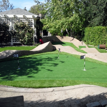 Putting Greens Cibolo Texas Artificial Turf Back Yard