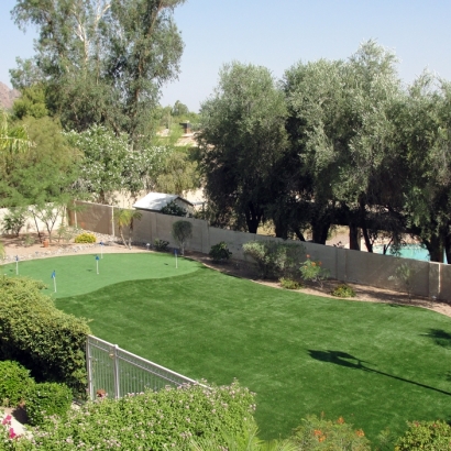 Putting Greens Martindale Texas Fake Grass Back Yard