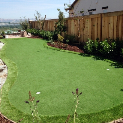 Putting Greens Northcliff Texas Fake Grass Back Yard