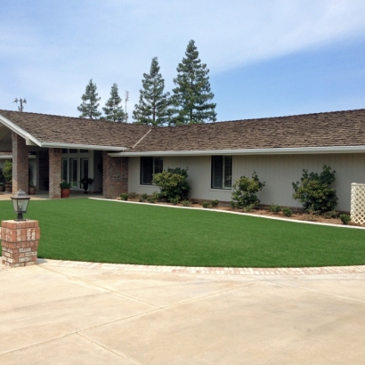 Synthetic Grass Briarcliff Texas Landscape Front Yard