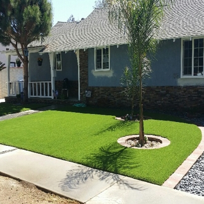 Synthetic Grass Buckholts Texas Landscape Front Yard