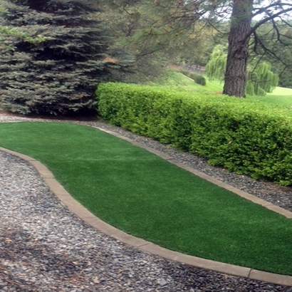 Synthetic Grass Castle Hills Texas Lawn