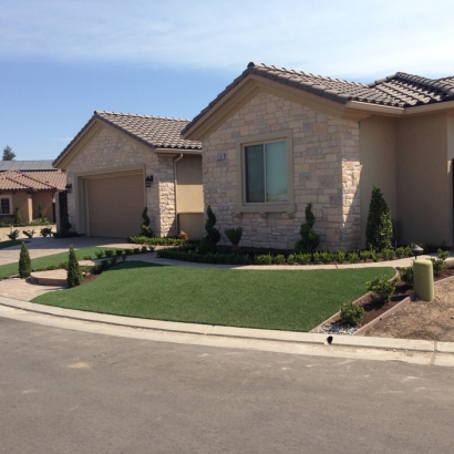 Synthetic Grass Copperas Cove Texas Lawn Front Yard