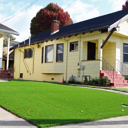 Synthetic Grass Falls City Texas Lawn Front Yard