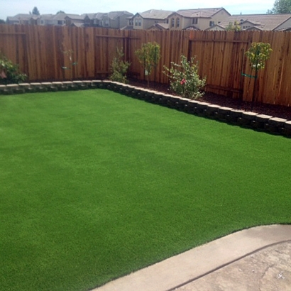 Synthetic Grass Fayetteville Texas Landscape Back Yard