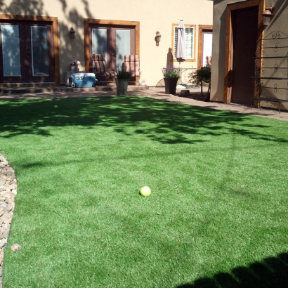 Synthetic Grass Florence Texas Landscape Back Yard