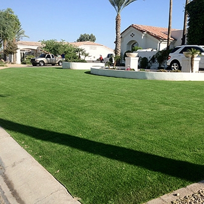 Synthetic Grass Fort Gates Texas Landscape Front Yard