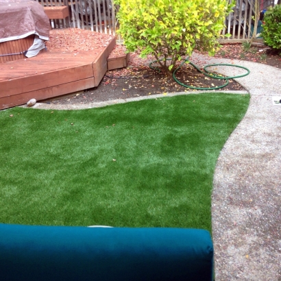 Synthetic Grass Helotes Texas Landscape Back Yard