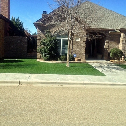 Synthetic Grass Kirby Texas Landscape Front Yard