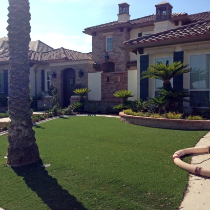 Synthetic Grass Kyle Texas Landscape Front Yard