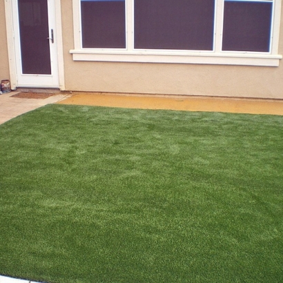 Synthetic Grass Lott Texas Landscape Back Yard