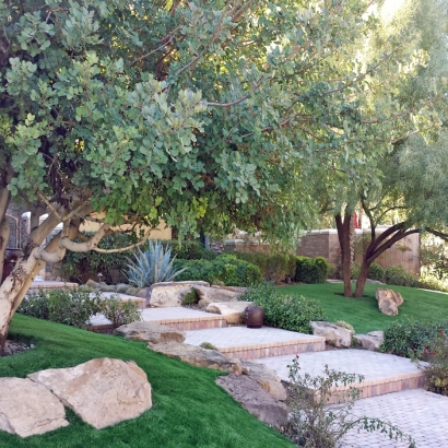 Synthetic Grass Meadowlakes Texas Landscape Back Yard