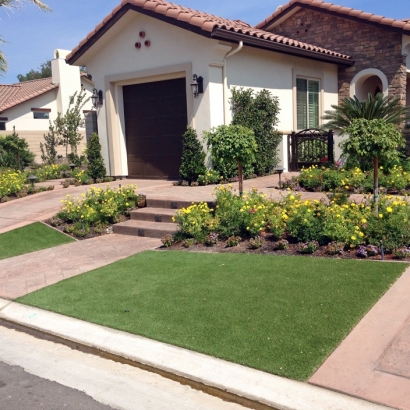 Synthetic Grass Moulton Texas Lawn Front Yard