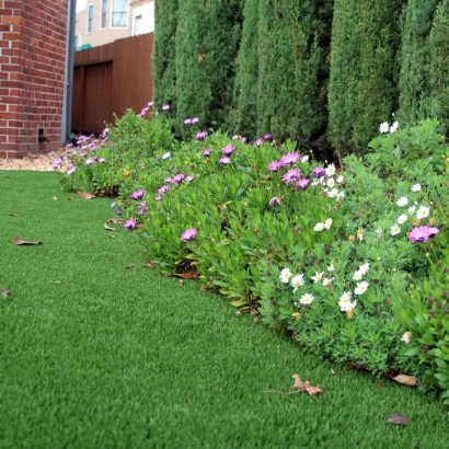 Synthetic Grass Oglesby Texas Landscape Front Yard