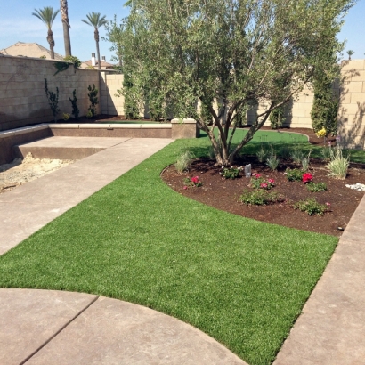 Synthetic Grass Point Venture Texas Lawn Front Yard