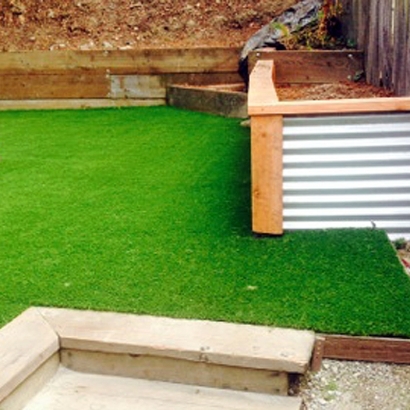 Synthetic Grass Salado Texas Lawn Back Yard