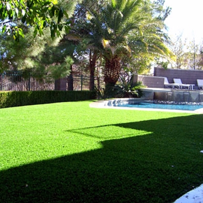 Synthetic Grass Smiley Texas Lawn Swimming Pools Back Yard