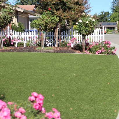 Synthetic Grass Timberwood Park Texas Lawn Front Yard