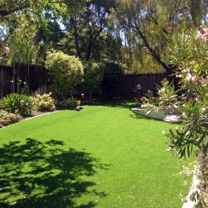 Synthetic Turf Buffalo Gap Texas Lawn Back Yard