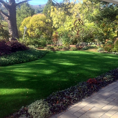 Synthetic Turf Burton Texas Landscape Back Yard