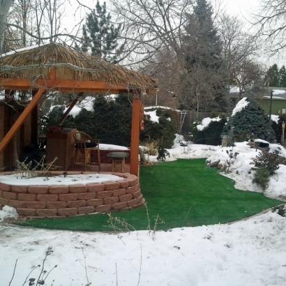 Synthetic Turf Cottonwood Shores Texas Lawn Back Yard Cold