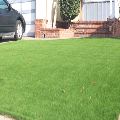 Synthetic Turf Fort Gates Texas Lawn Front Yard