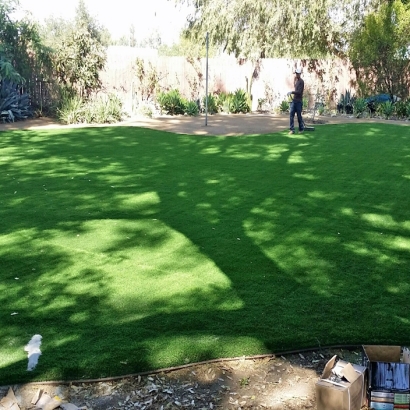 Synthetic Turf Harker Heights Texas Landscape Back Yard