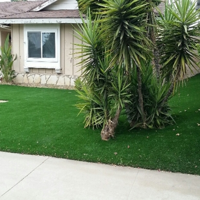 Synthetic Turf Harker Heights Texas Landscape Front Yard