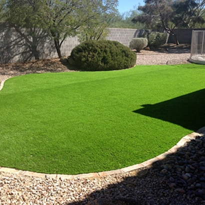 Synthetic Turf La Vernia Texas Landscape Back Yard