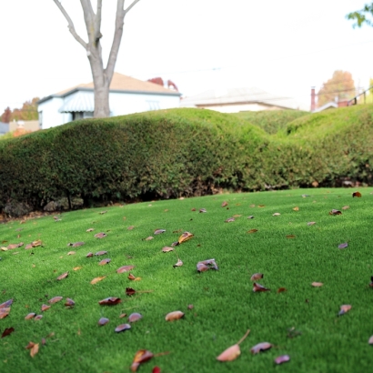 Synthetic Turf Leon Valley Texas Landscape Front Yard