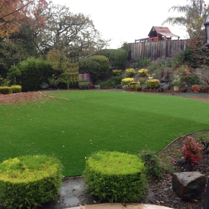 Synthetic Turf Saint Hedwig Texas Landscape Back Yard